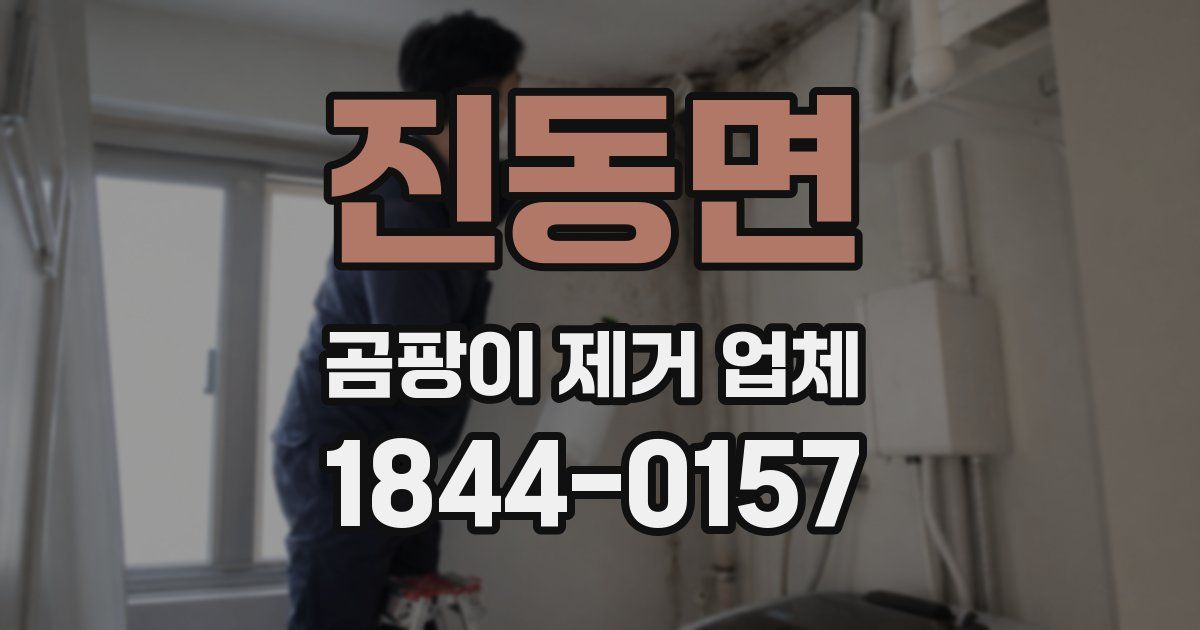 진동면 곰팡이 제거 업체