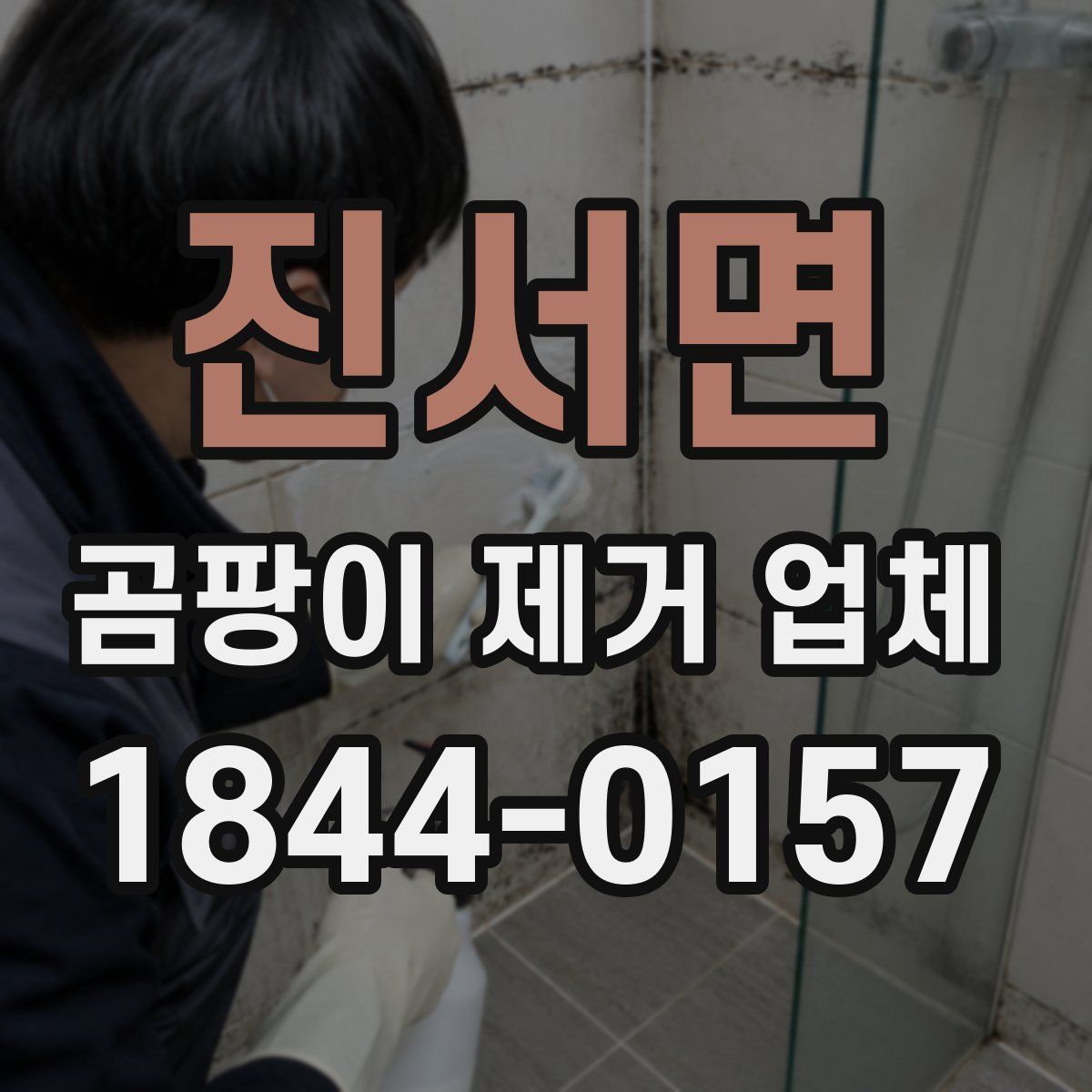 진서면 곰팡이 제거 업체