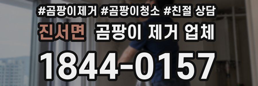 진서면 곰팡이 제거 업체