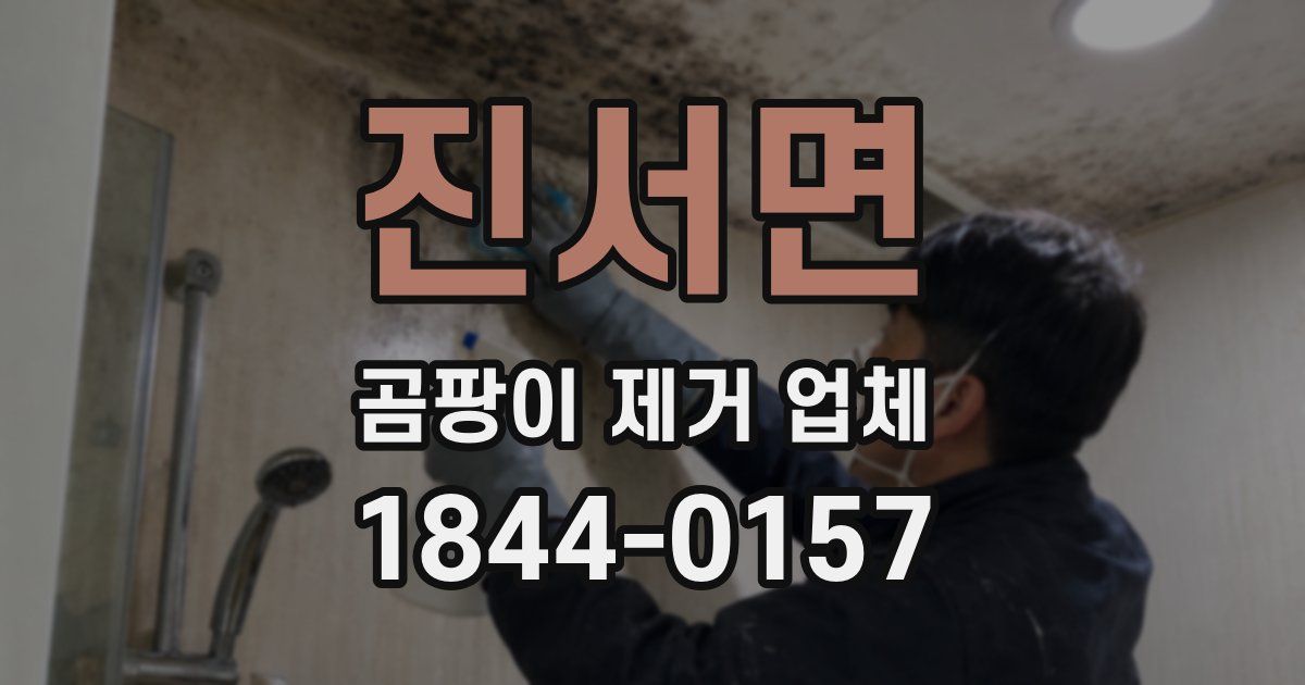 진서면 곰팡이 제거 업체