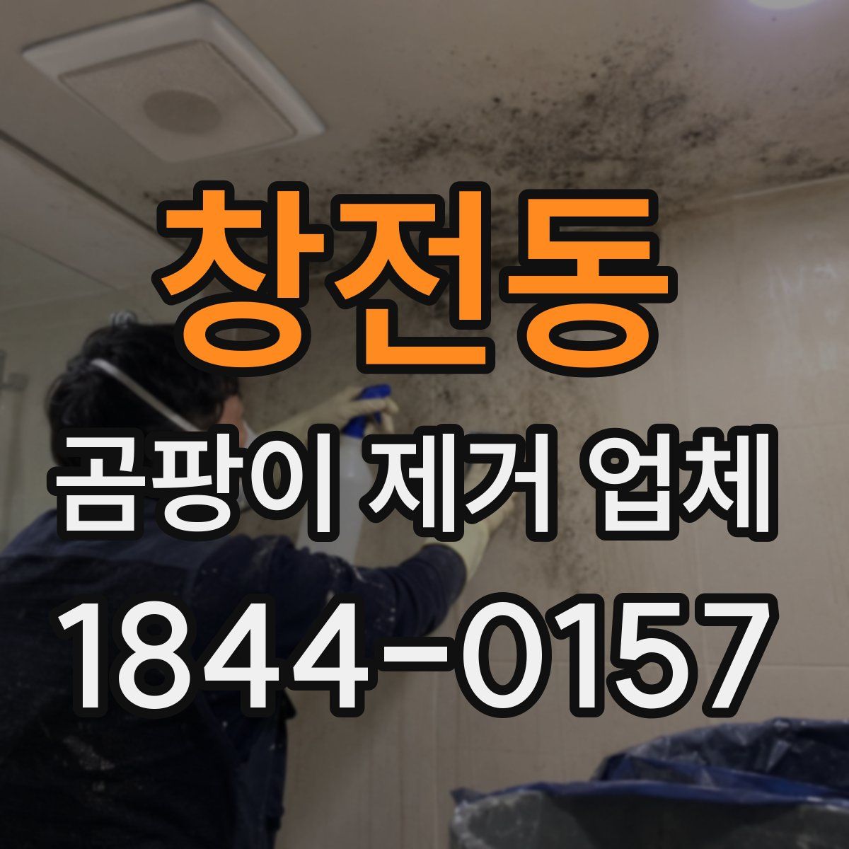 창전동 곰팡이 제거 업체
