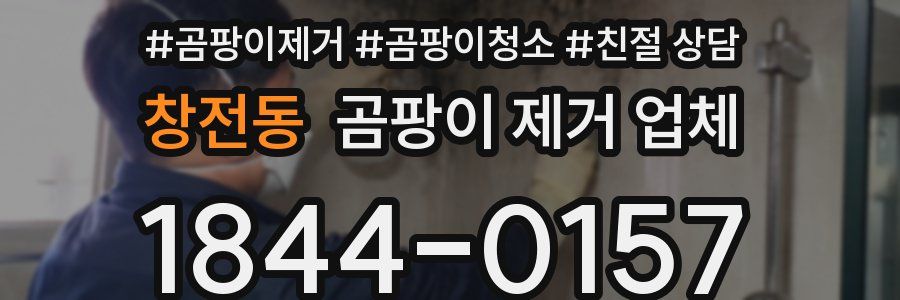 창전동 곰팡이 제거 업체