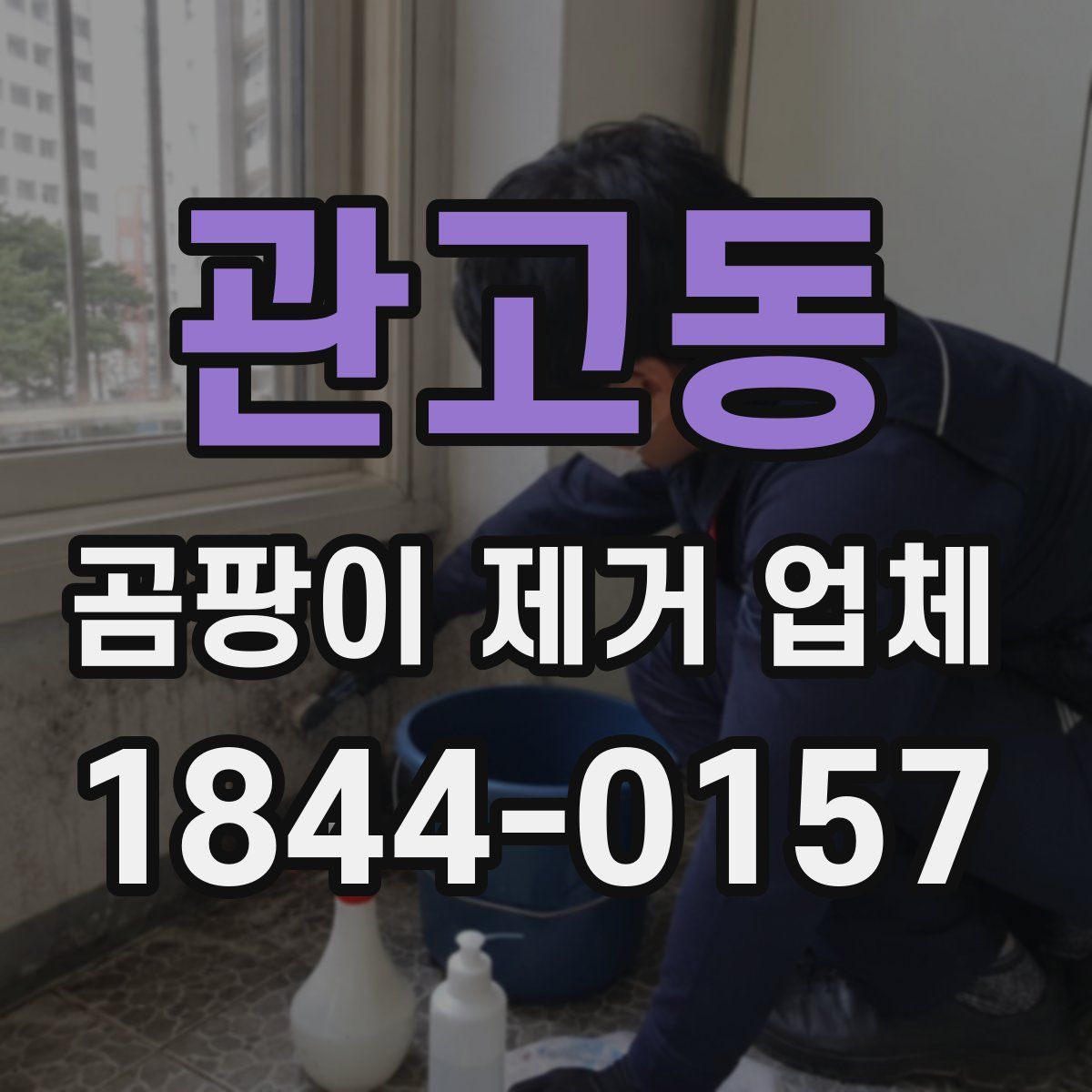 관고동 곰팡이 제거 업체