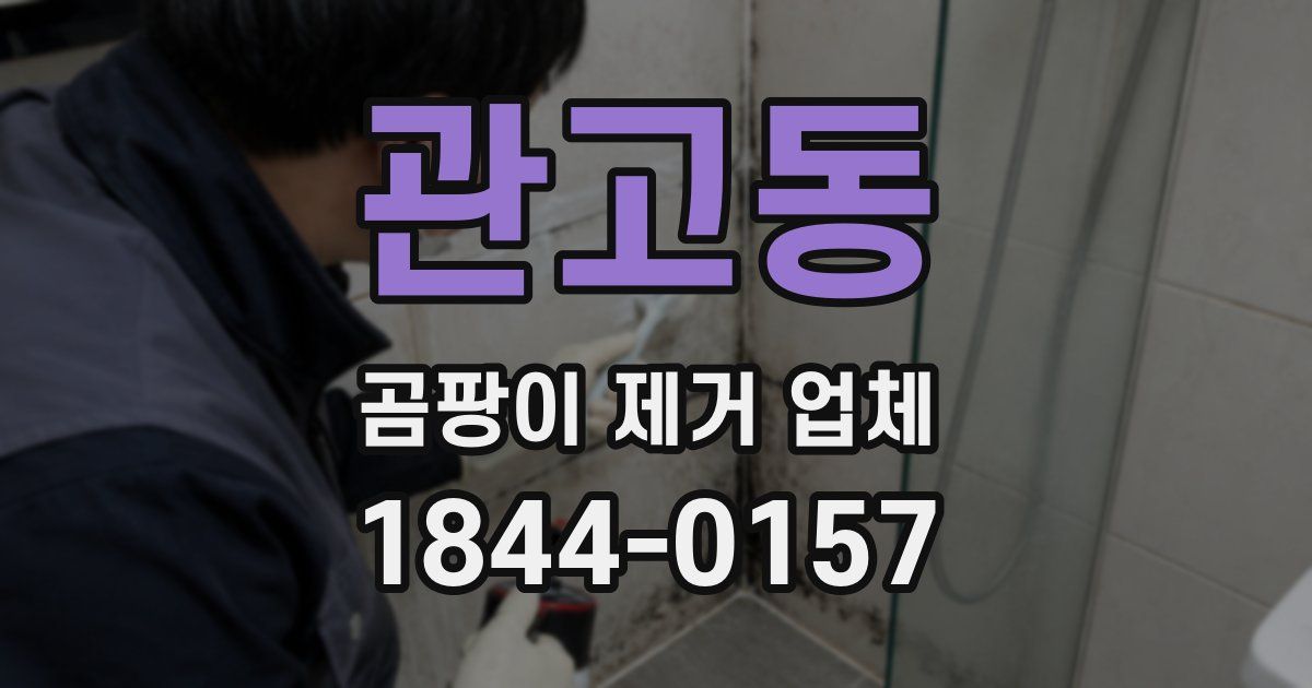 관고동 곰팡이 제거 업체