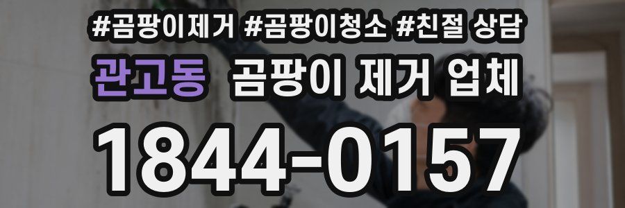 관고동 곰팡이 제거 업체