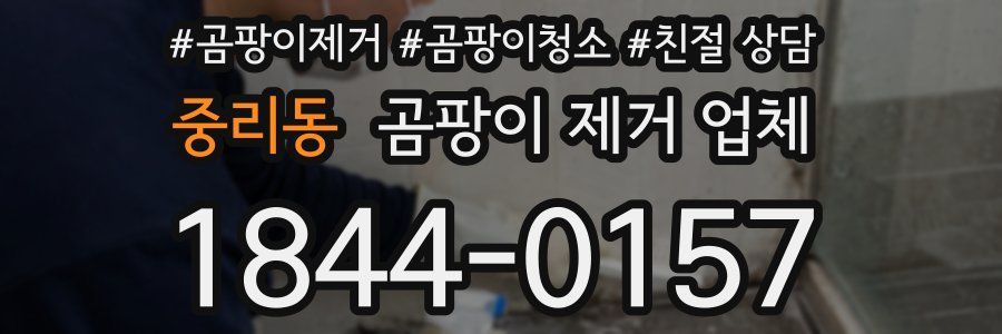 중리동 곰팡이 제거 업체