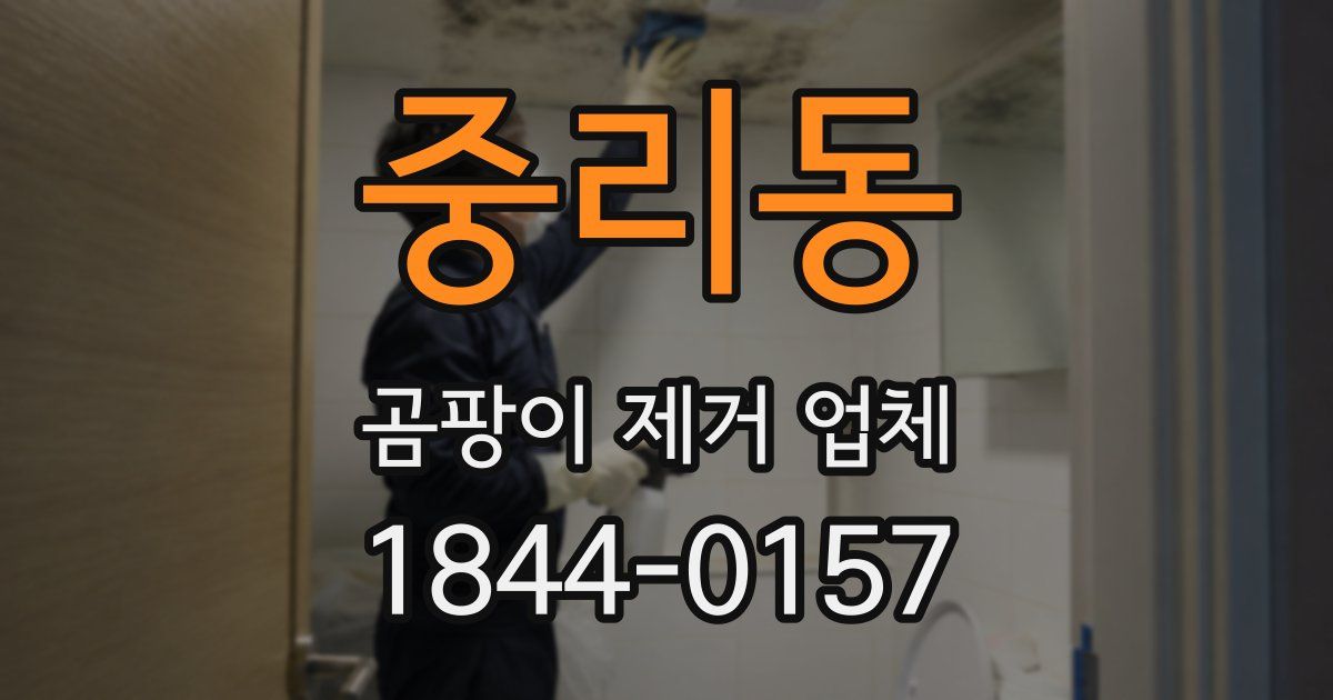 중리동 곰팡이 제거 업체