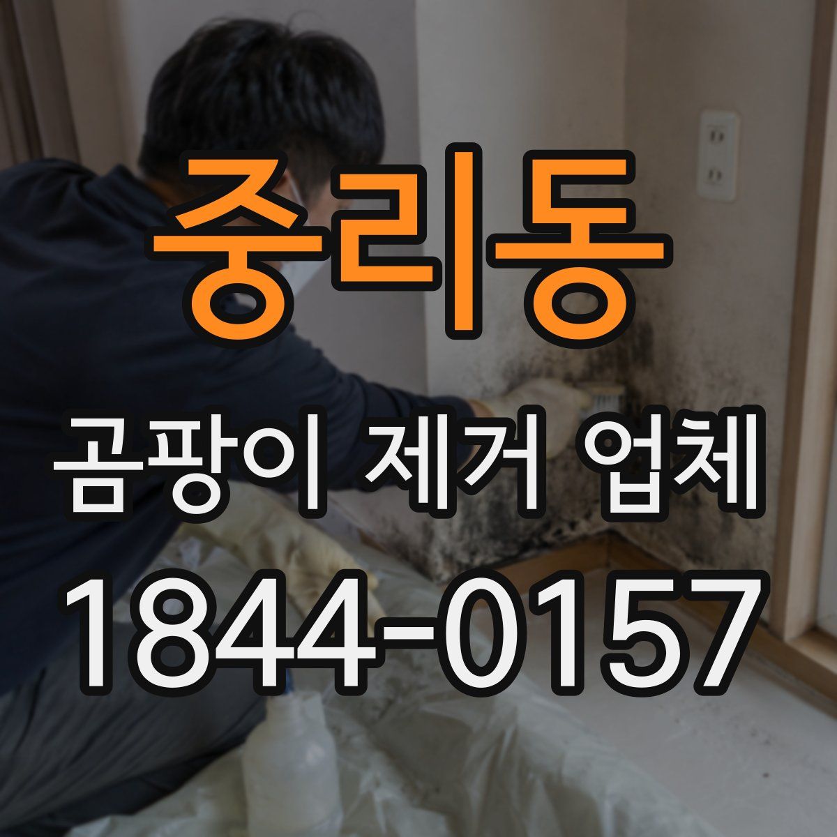 중리동 곰팡이 제거 업체