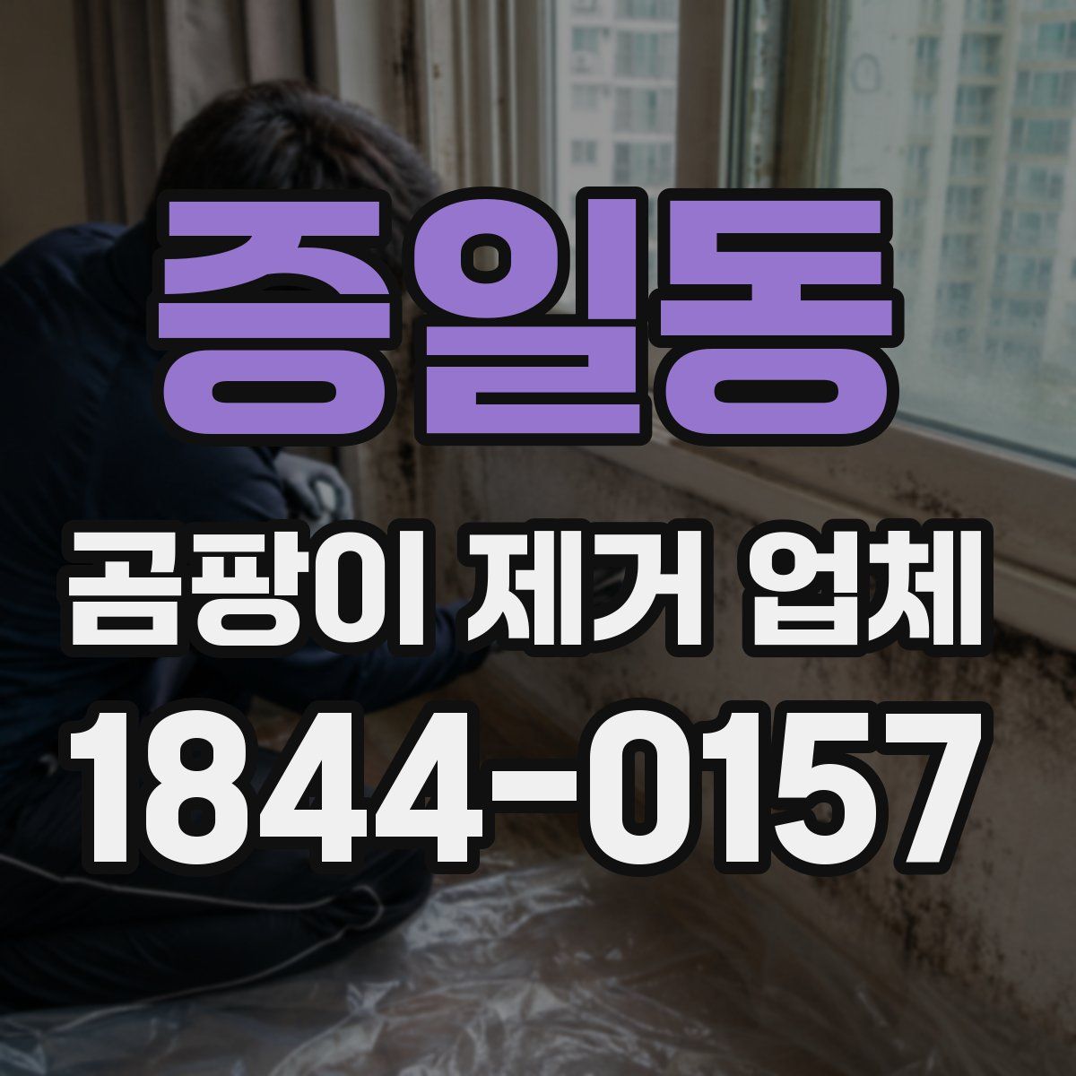 증일동 곰팡이 제거 업체