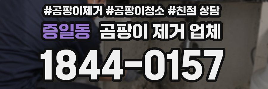 증일동 곰팡이 제거 업체