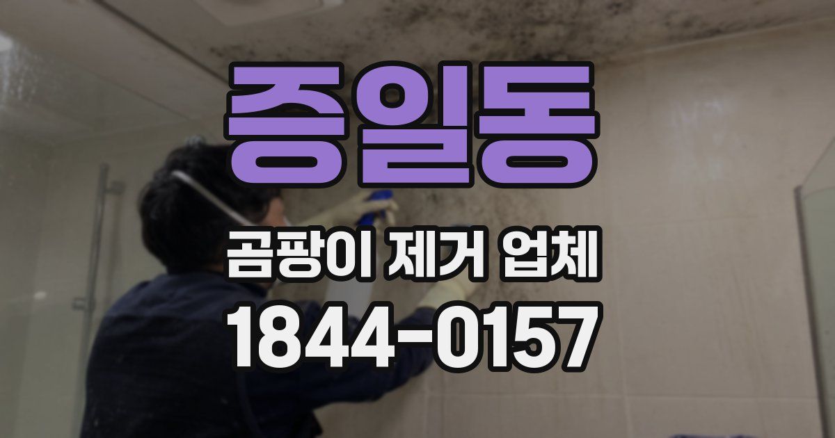 증일동 곰팡이 제거 업체