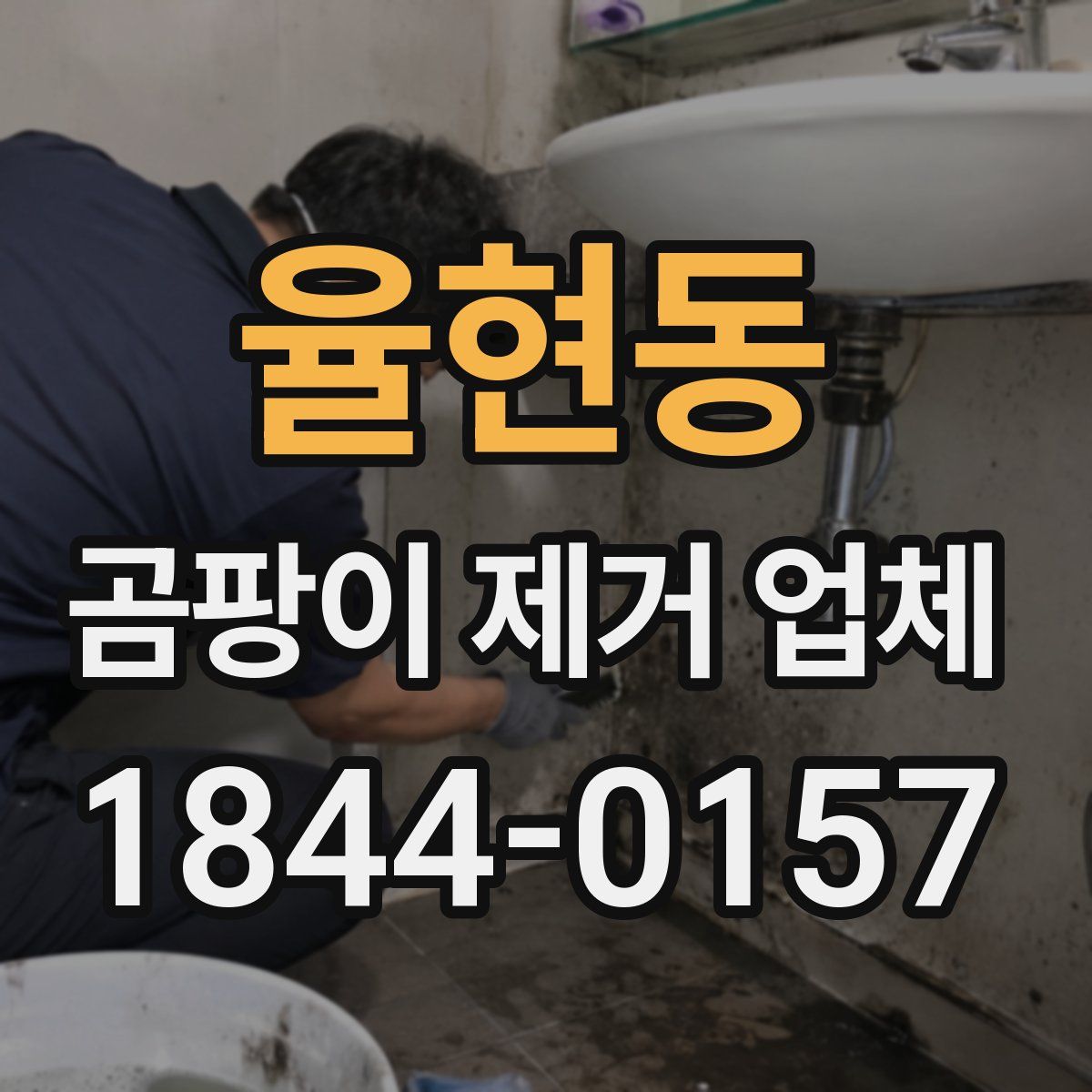 율현동 곰팡이 제거 업체