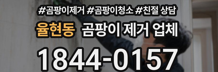 율현동 곰팡이 제거 업체