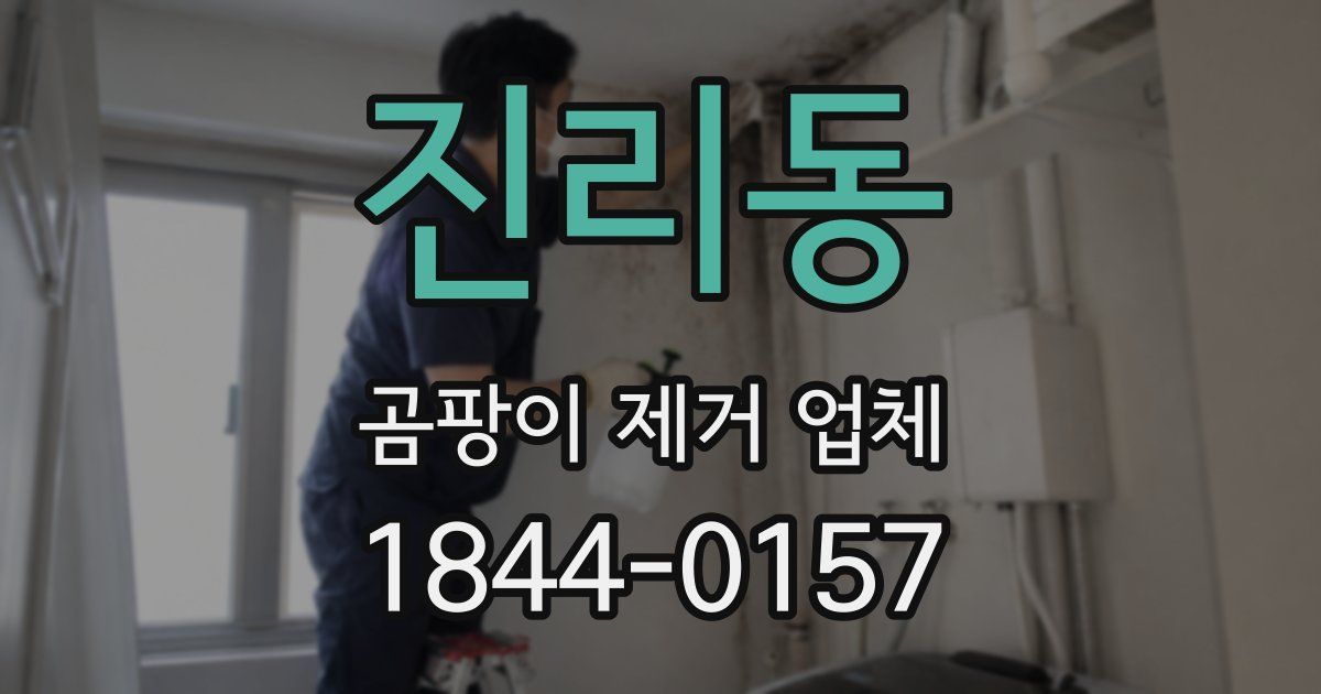 진리동 곰팡이 제거 업체