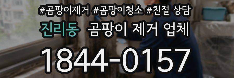 진리동 곰팡이 제거 업체