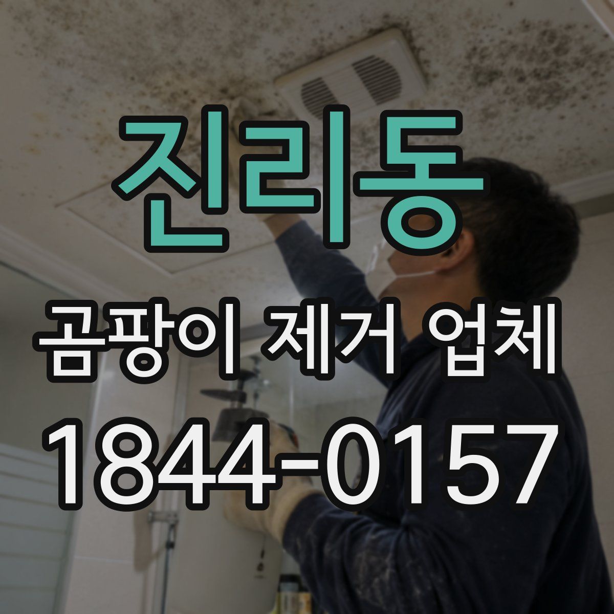진리동 곰팡이 제거 업체