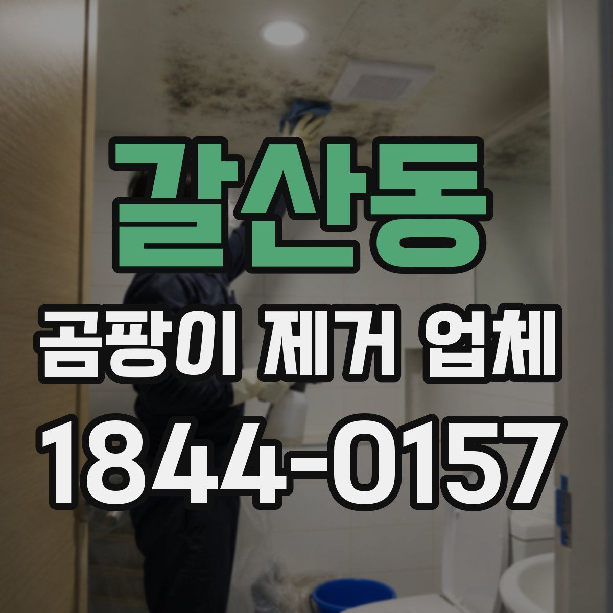 갈산동 곰팡이 제거 업체