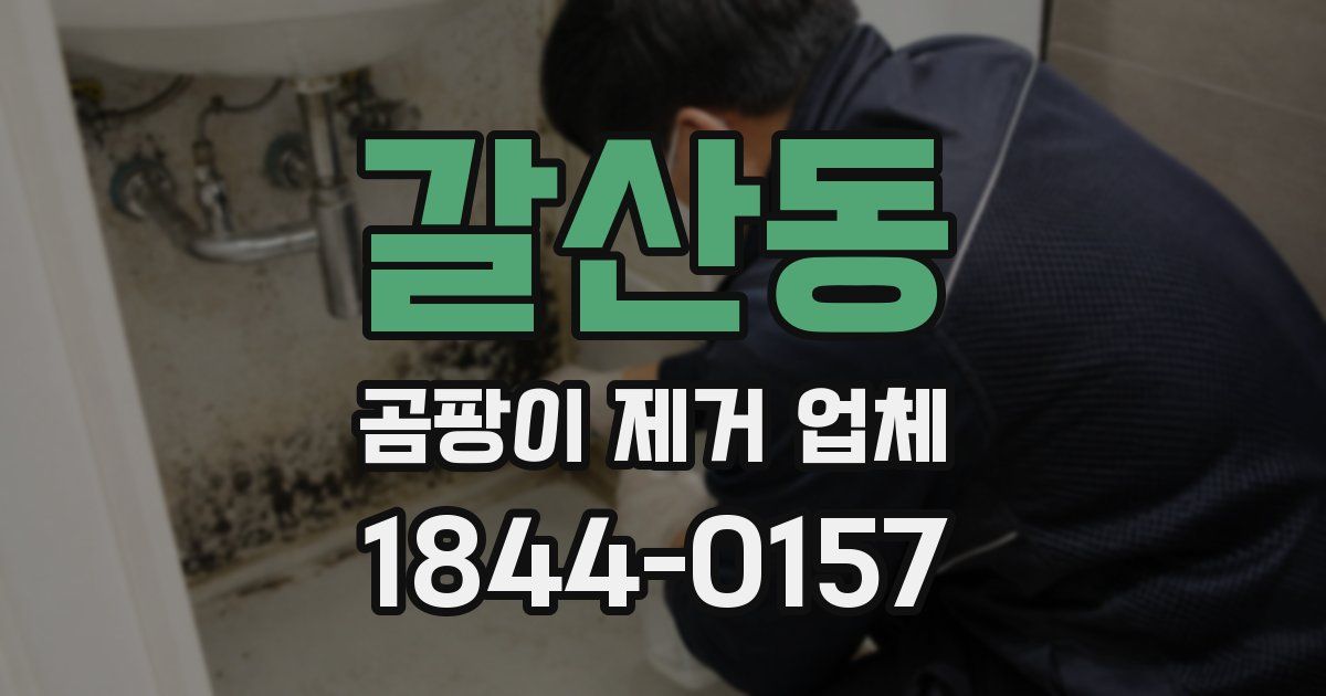 갈산동 곰팡이 제거 업체