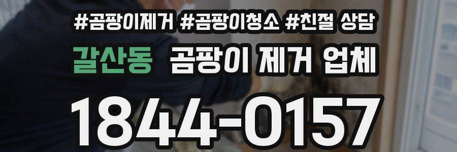 갈산동 곰팡이 제거 업체