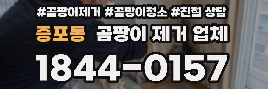 증포동 곰팡이 제거 업체