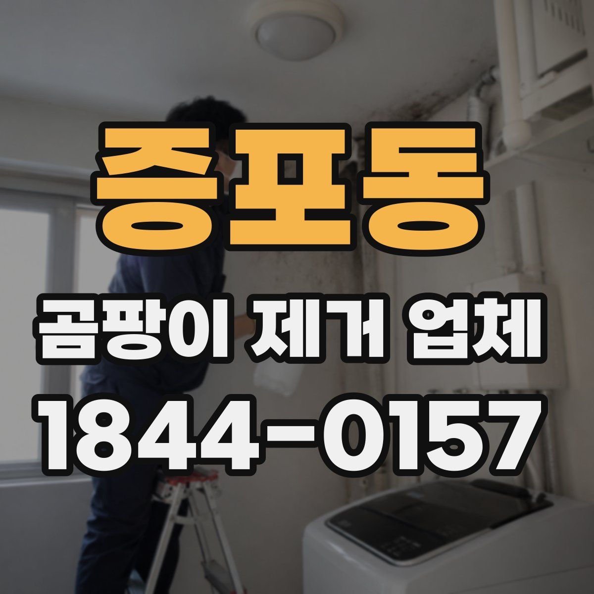 증포동 곰팡이 제거 업체