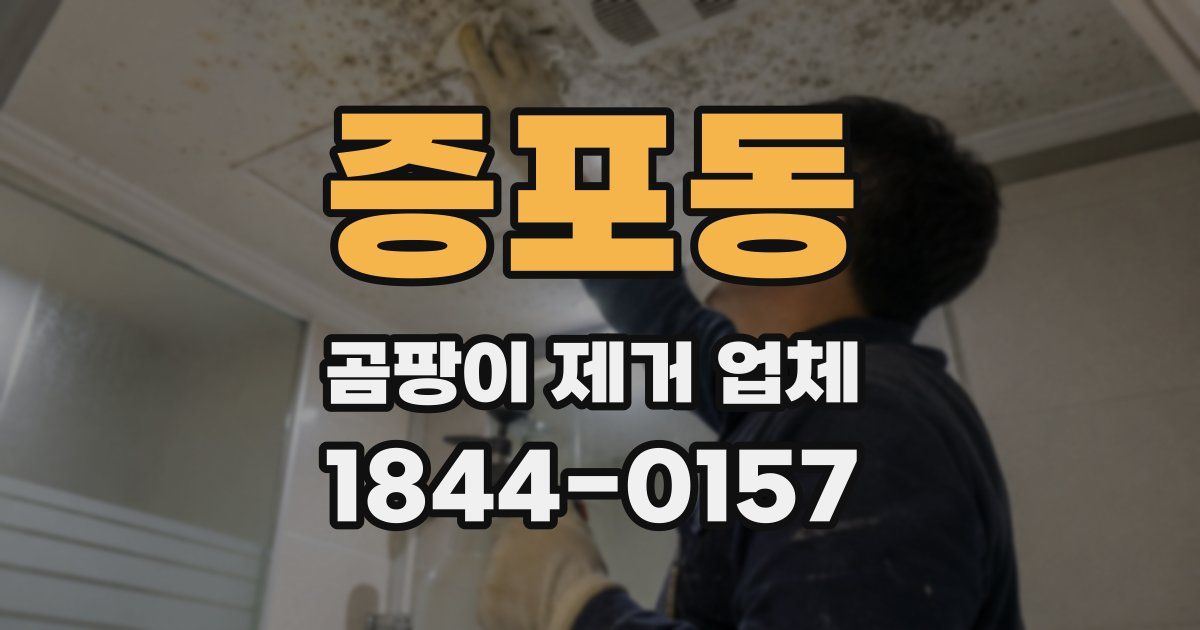 증포동 곰팡이 제거 업체