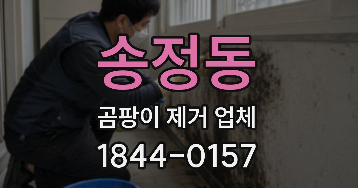 송정동 곰팡이 제거 업체