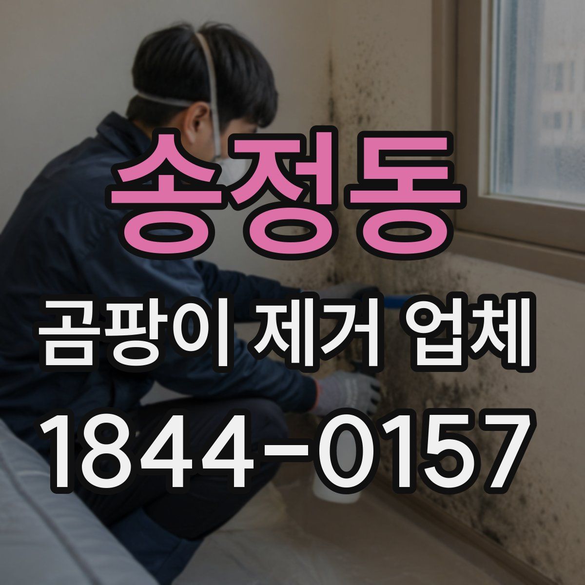 송정동 곰팡이 제거 업체
