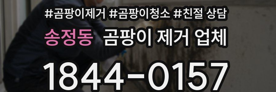 송정동 곰팡이 제거 업체