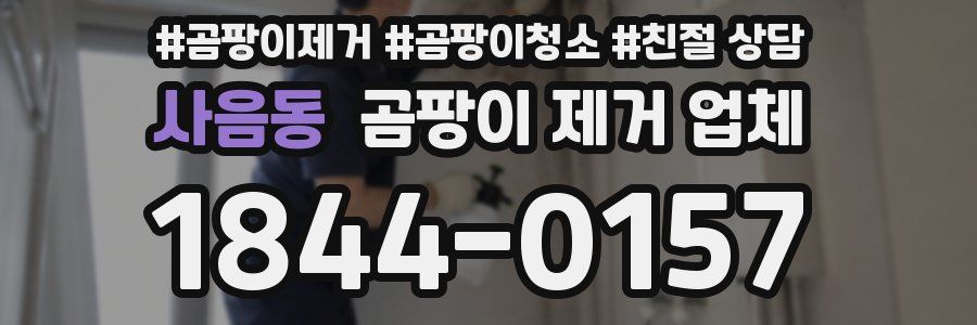 사음동 곰팡이 제거 업체