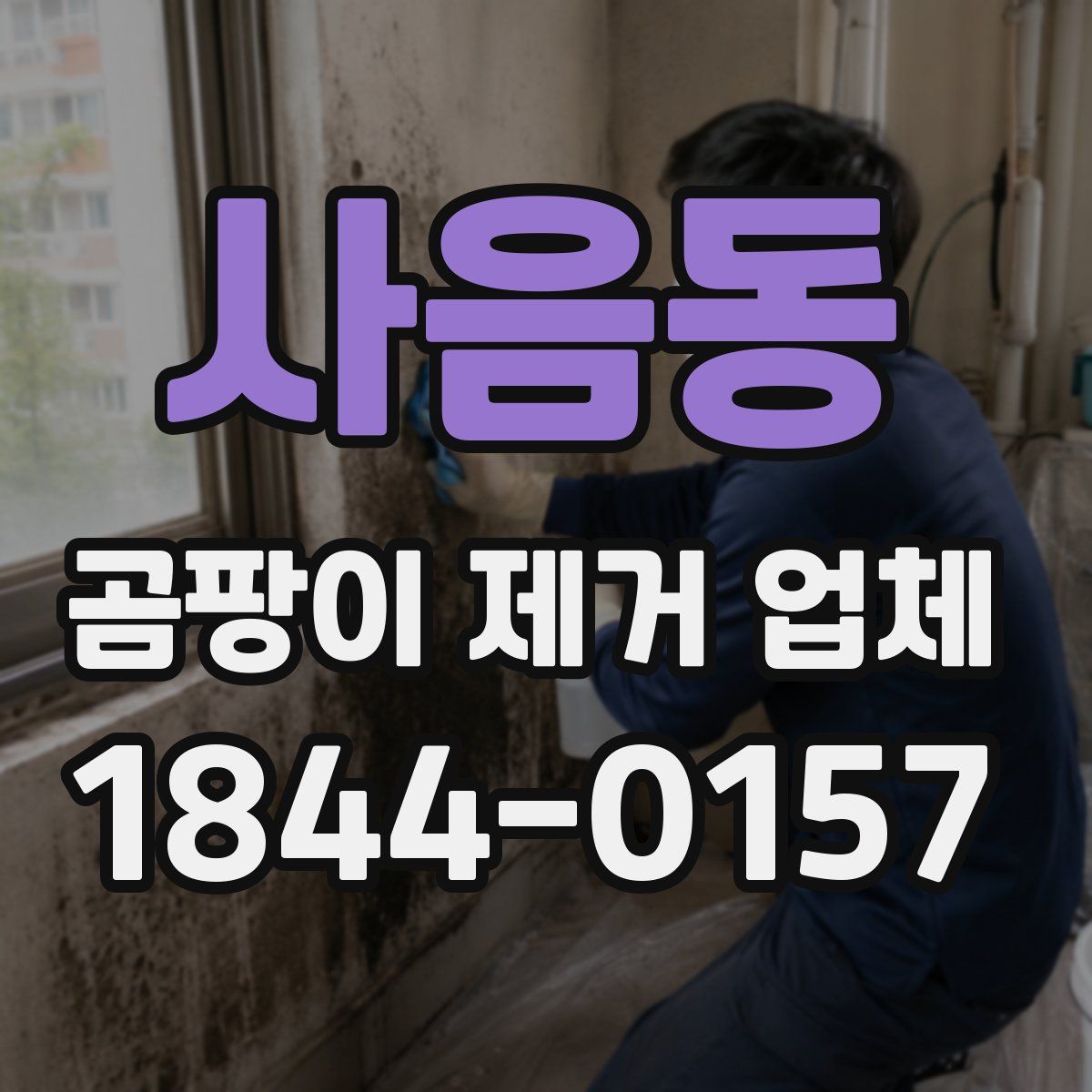 사음동 곰팡이 제거 업체