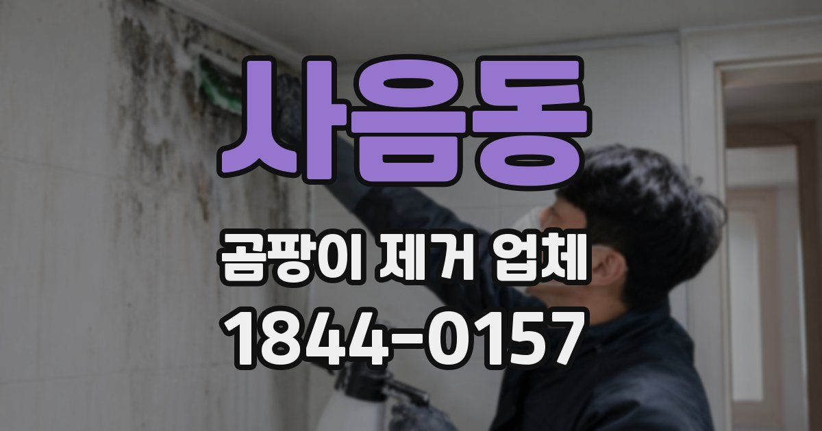 사음동 곰팡이 제거 업체