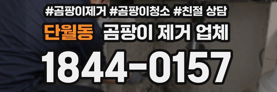 단월동 곰팡이 제거 업체