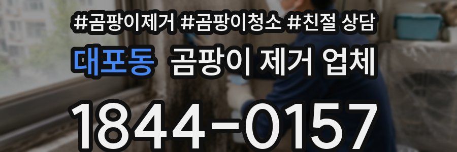 대포동 곰팡이 제거 업체