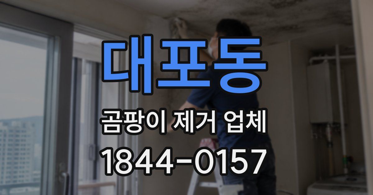 대포동 곰팡이 제거 업체