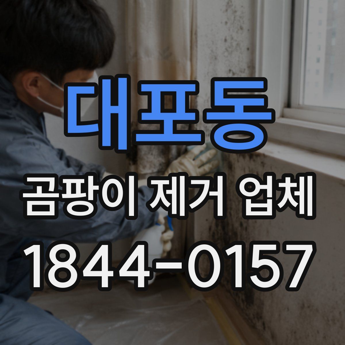 대포동 곰팡이 제거 업체