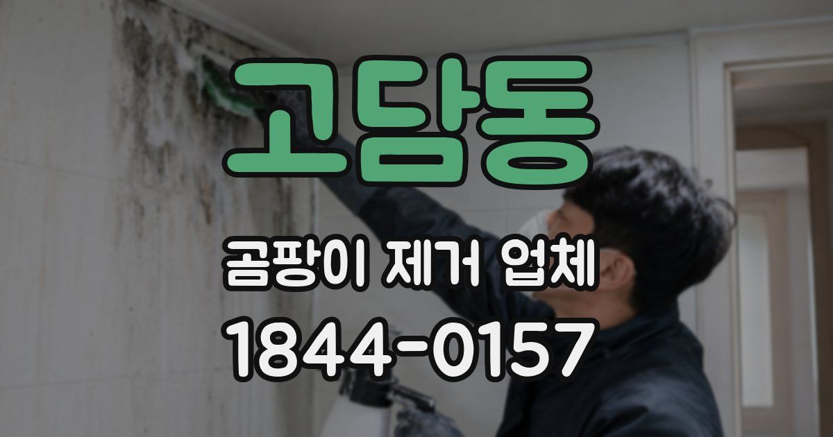 고담동 곰팡이 제거 업체