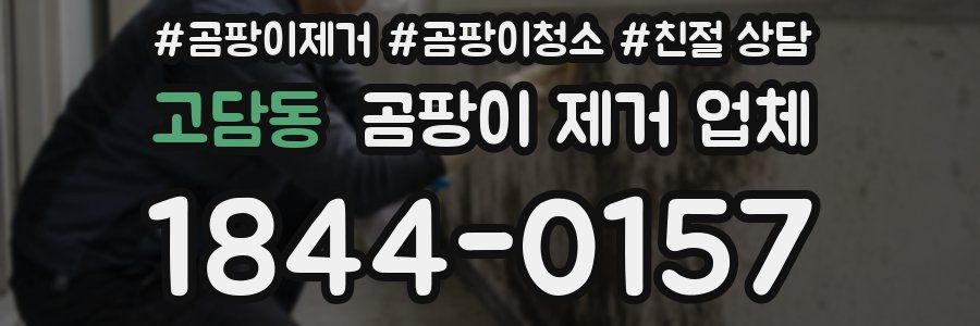 고담동 곰팡이 제거 업체