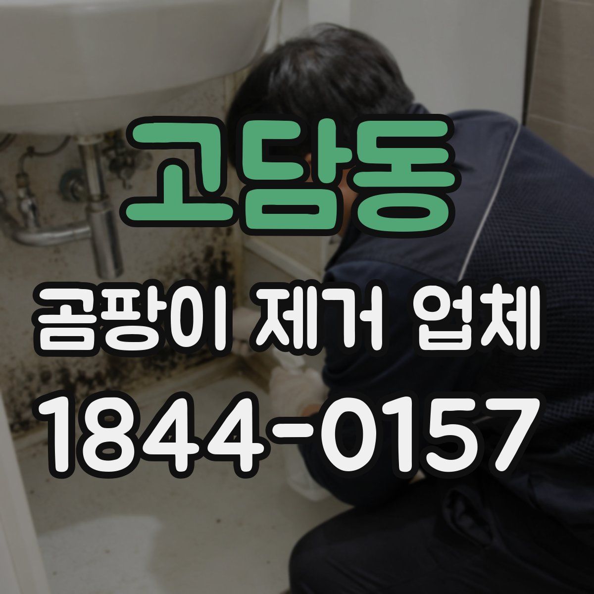 고담동 곰팡이 제거 업체