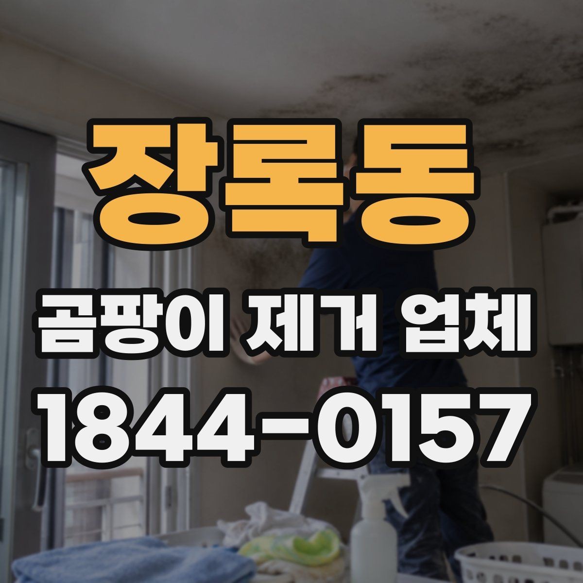 장록동 곰팡이 제거 업체 상담에서 빠지기 쉬운 질문들