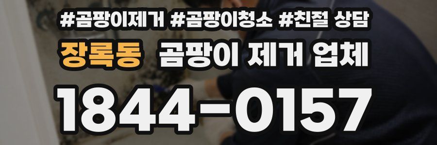 장록동 곰팡이 제거 업체