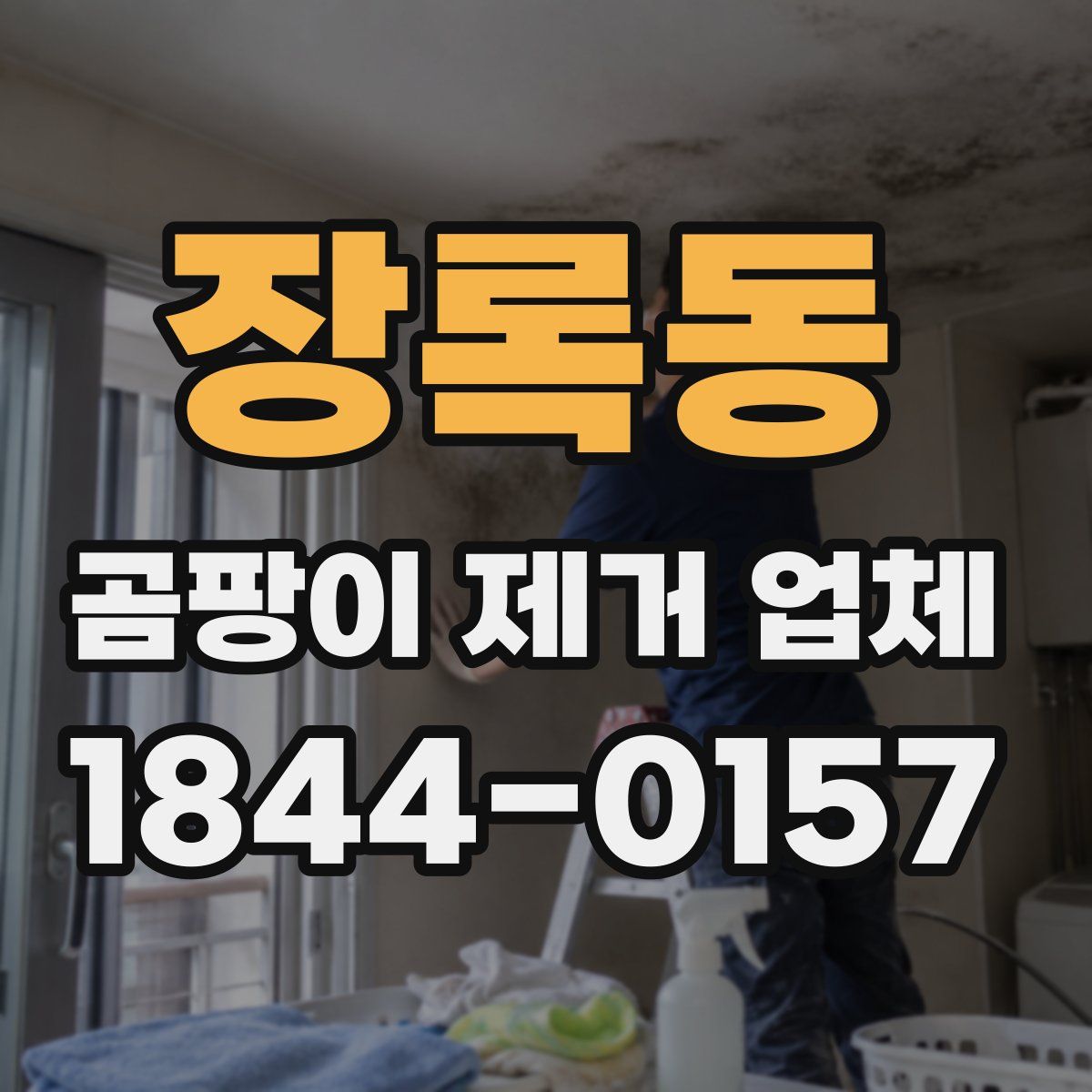 장록동 곰팡이 제거 업체