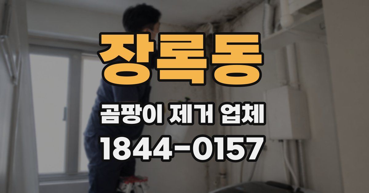 장록동 곰팡이 제거 업체