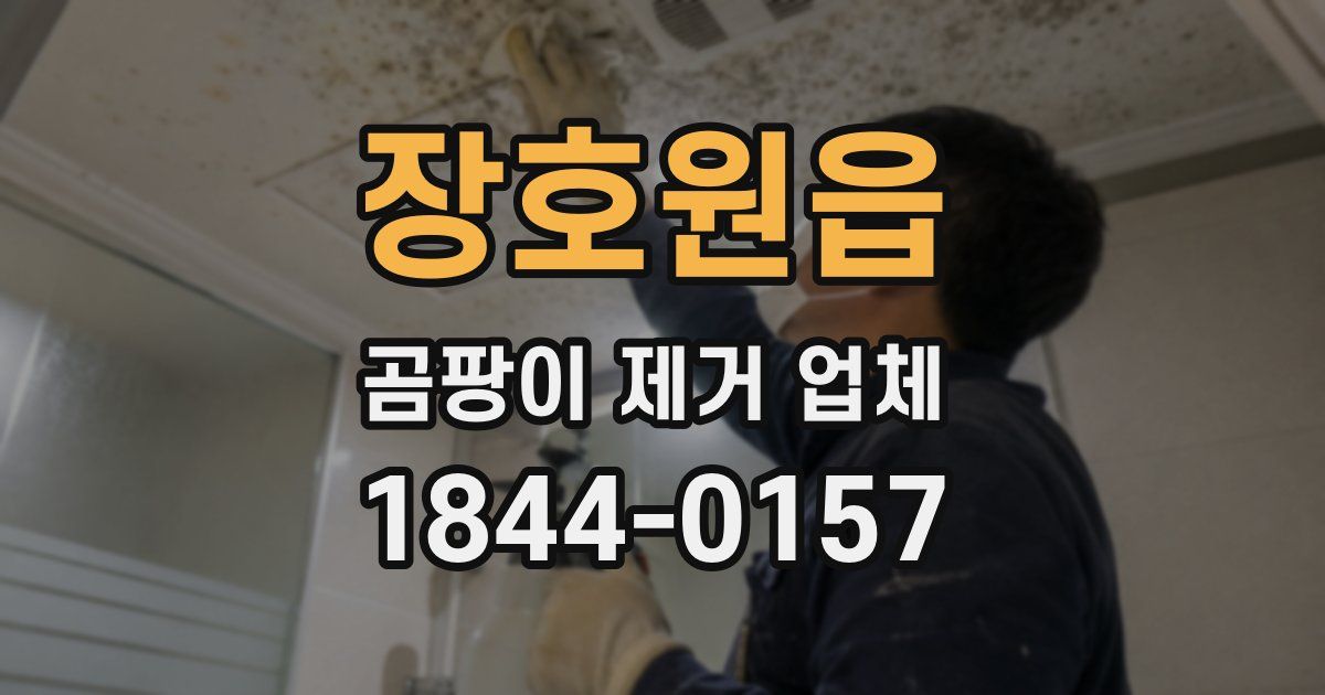 장호원읍 곰팡이 제거 업체