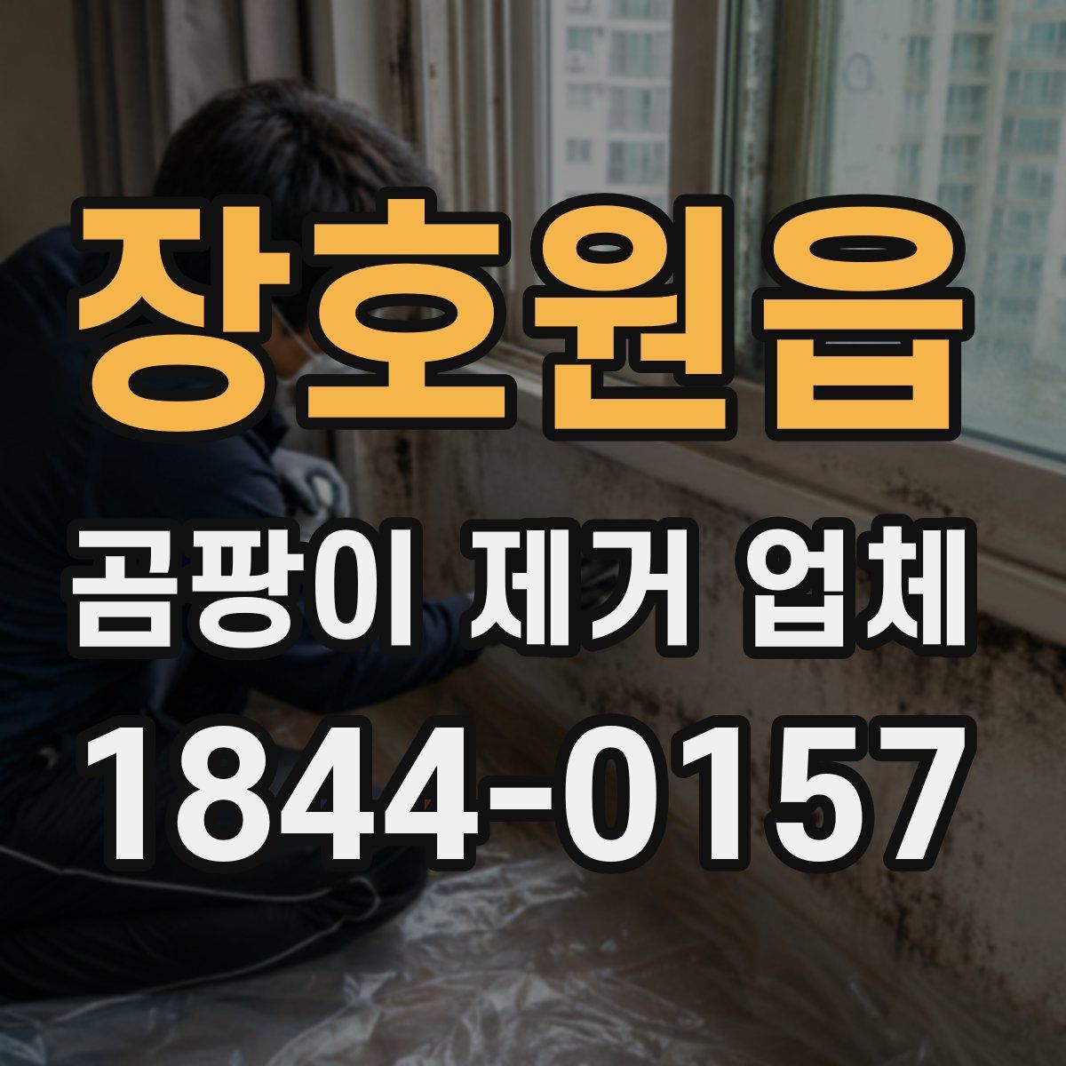장호원읍 곰팡이 제거 업체