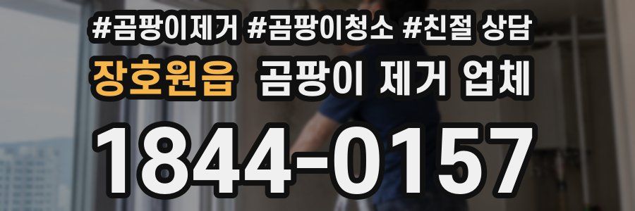 장호원읍 곰팡이 제거 업체