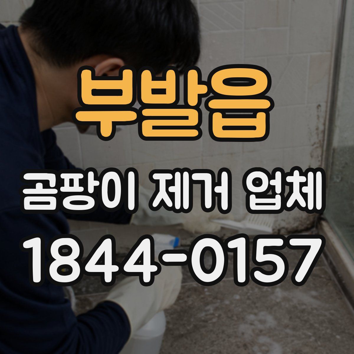 부발읍 곰팡이 제거 업체