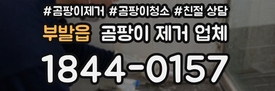 부발읍 곰팡이 제거 업체