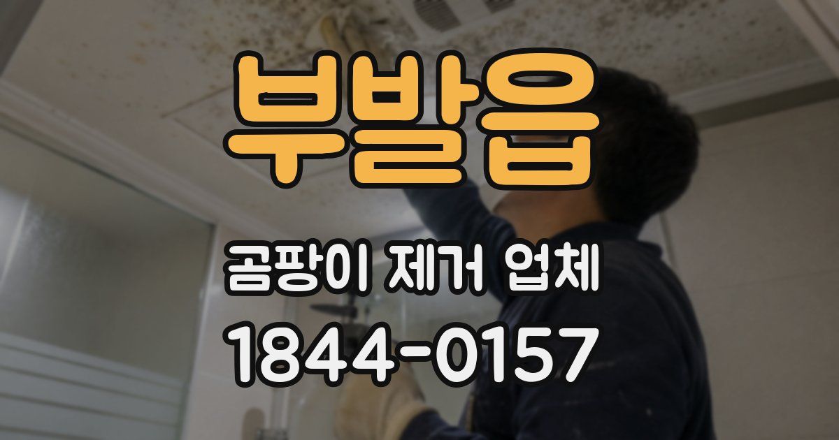 부발읍 곰팡이 제거 업체