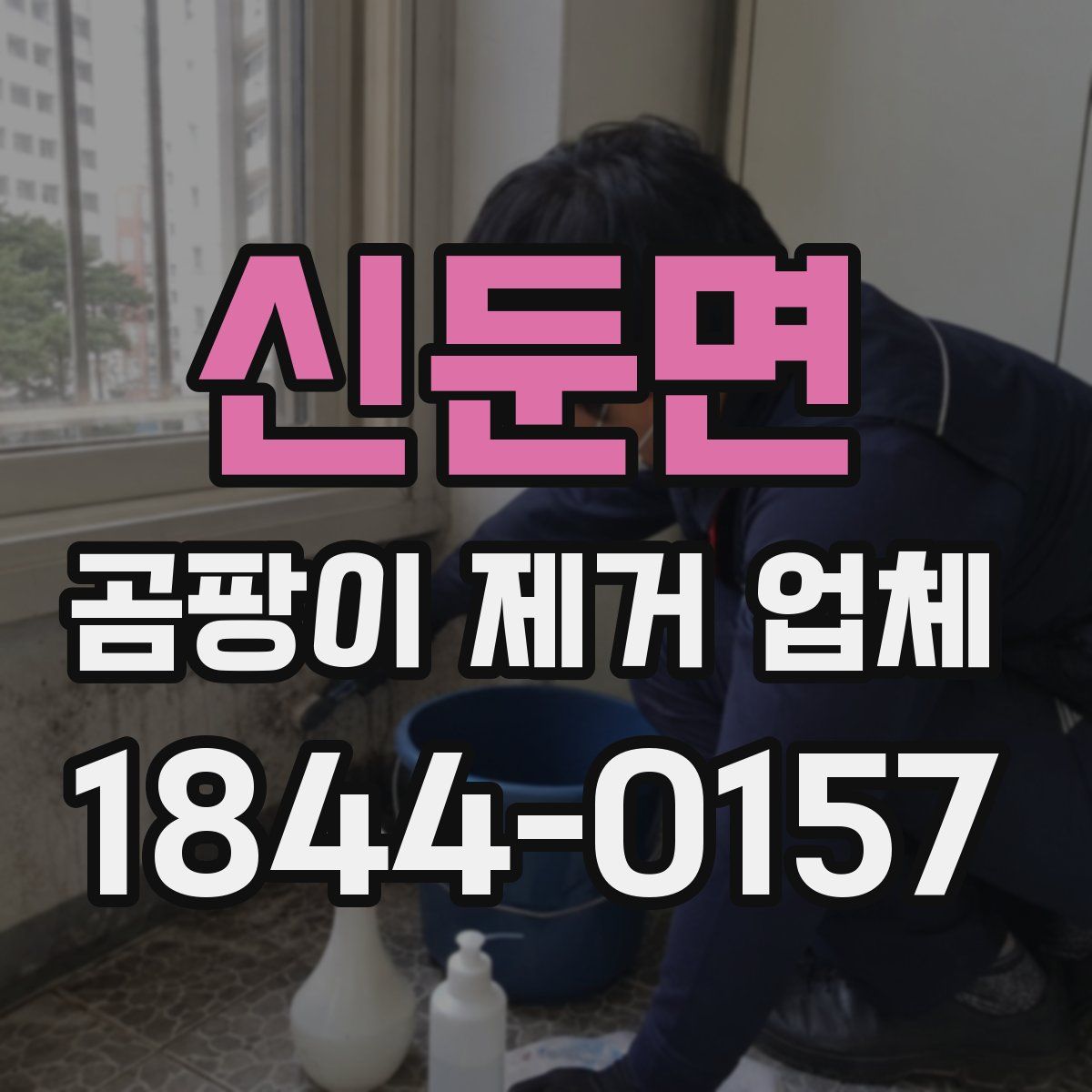 신둔면 곰팡이 제거 업체